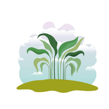 plant in landscape isolated icon vector illustration designのイラスト素材