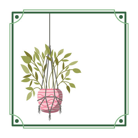 frame with houseplant on macrame hangers vector illustration designのイラスト素材
