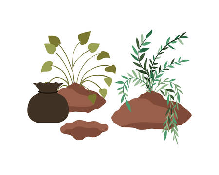 trees to plant isolated icon vector illustration designのイラスト素材