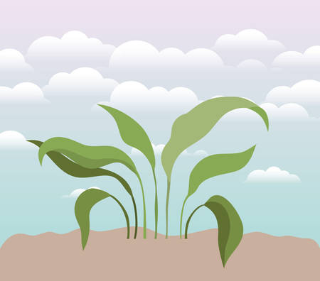plant of garden planted vector illustration designのイラスト素材