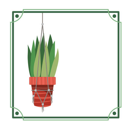 frame with houseplant on macrame hangers vector illustration designのイラスト素材