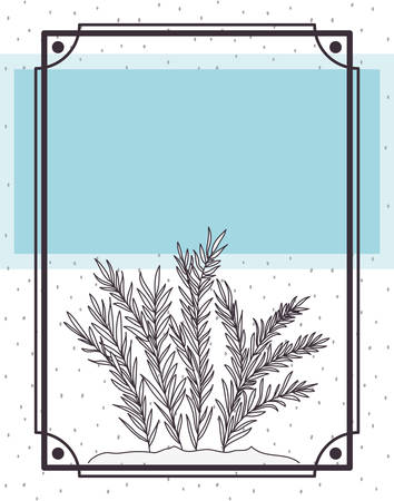 pattern plant with frame isolated icon vector illustration designのイラスト素材