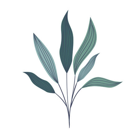 branch with leaves on white background vector illustration designのイラスト素材