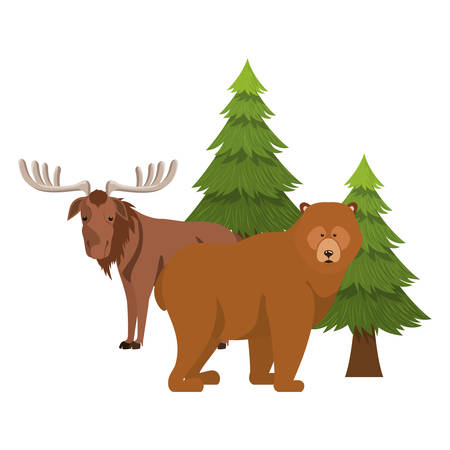 Bear and moose animal design, forest canada life nature and fauna theme Vector illustrationのイラスト素材
