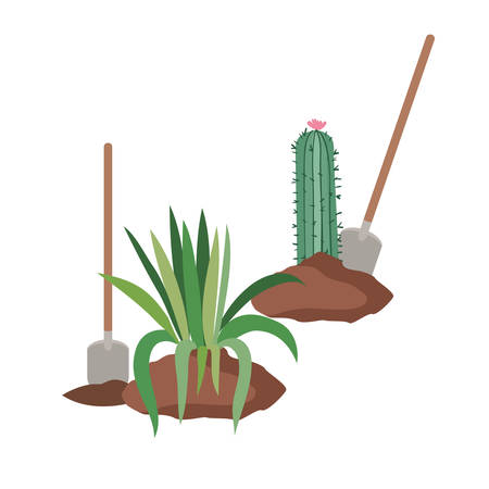 cactus and tree to plant isolated icon vector illustration designのイラスト素材