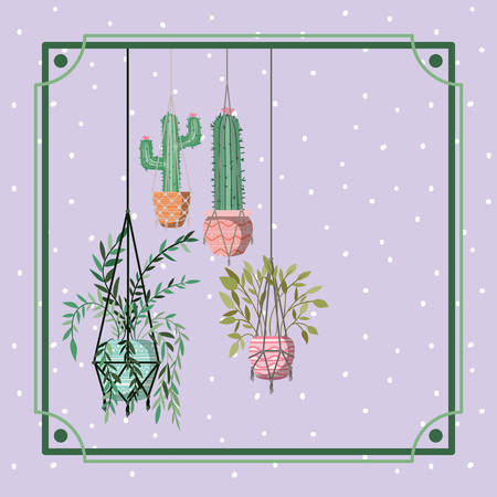 frame with houseplants and cactus hanging in macrame vector illustration designのイラスト素材