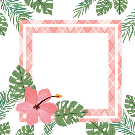 frame with flower and leafs of summer vector illustration designのイラスト素材