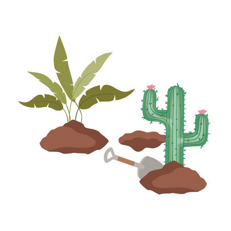 cactus and tree to plant isolated icon vector illustration designのイラスト素材
