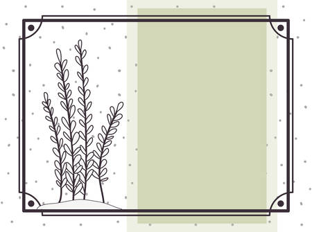 pattern plant with frame isolated icon vector illustration designのイラスト素材