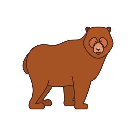 Bear animal design, forest canada life nature and fauna theme Vector illustrationのイラスト素材