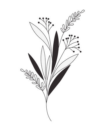 silhouette of branch with leaves on white background vector illustration designのイラスト素材