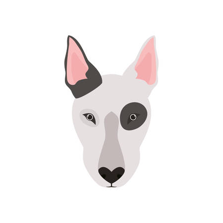 head of cute bull terrier dog on white background vector illustration designのイラスト素材