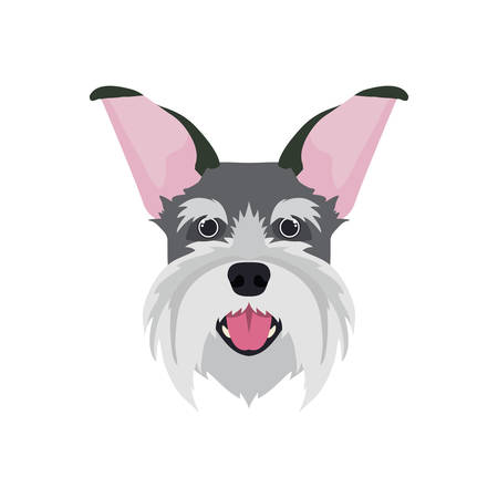 head of cute schnauzer dog on white background vector illustration designのイラスト素材