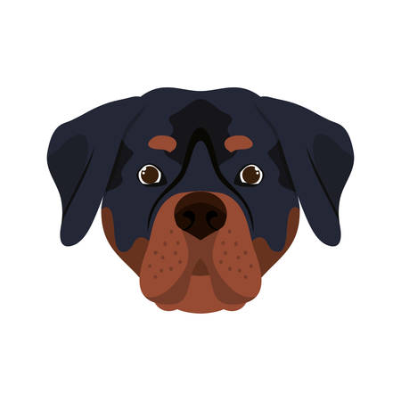 head of cute rottweiler dog on white background vector illustration designのイラスト素材