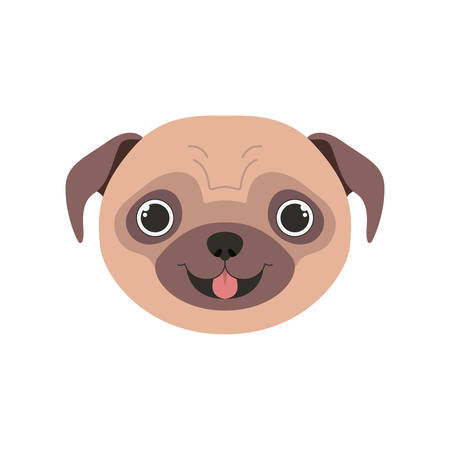 head of cute pug dog on white background vector illustration designのイラスト素材