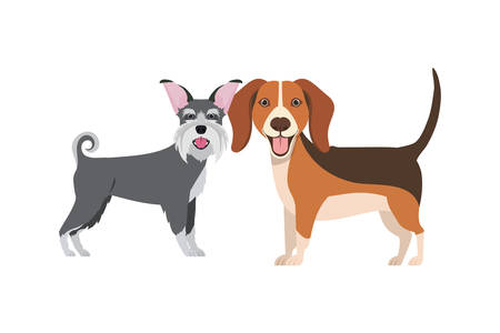 cute and adorable dogs on white background vector illustration designのイラスト素材