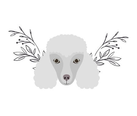 head of cute poodler dog on white background vector illustration designのイラスト素材