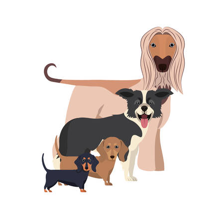 set of adorable dogs on white background vector illustration designのイラスト素材