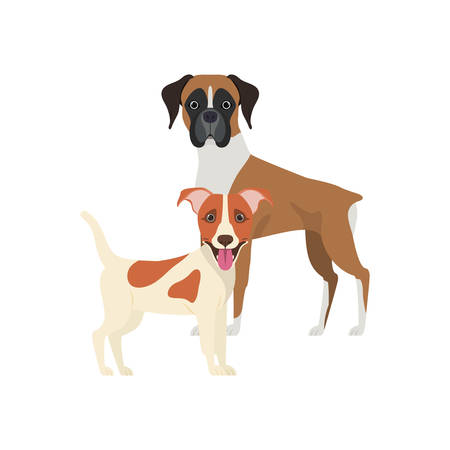 cute and adorable dogs on white background vector illustration designのイラスト素材