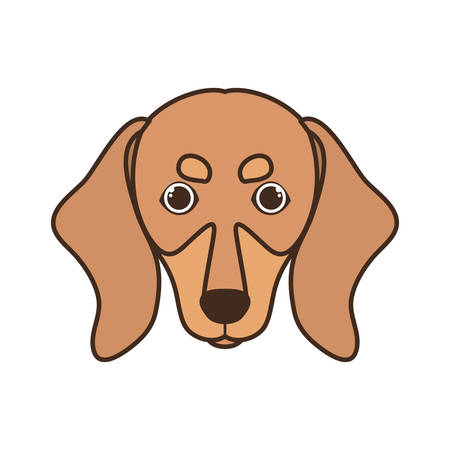 head of cute dachshund dog on white background vector illustration designのイラスト素材