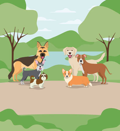 group of dogs pets in the camp characters vector illustration designのイラスト素材