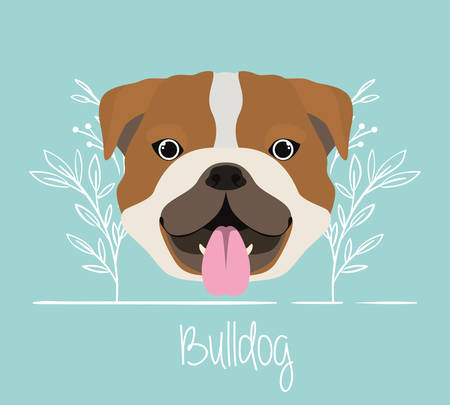 cute bulldog dog pet head character vector illustration designのイラスト素材