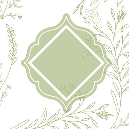 frame with plants and herbs isolated icon vector illustration desingのイラスト素材