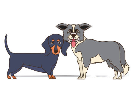 cute and adorable dogs on white background vector illustration designのイラスト素材