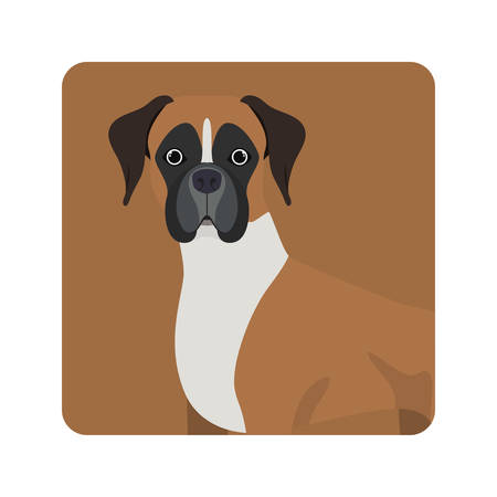cute boxer dog on white background vector illustration designのイラスト素材