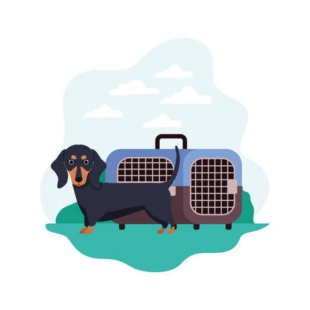 dog and pet transport box with background landscape vector illustration designのイラスト素材