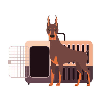 dog and pet transport box on white background vector illustration designのイラスト素材