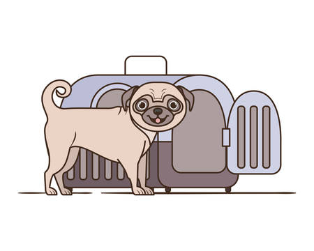 dog and pet transport box on white background vector illustration designのイラスト素材