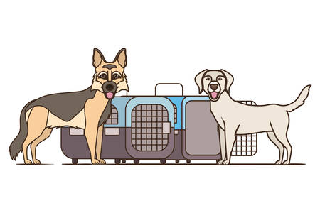 dogs and pet transport boxes on white background vector illustration designのイラスト素材