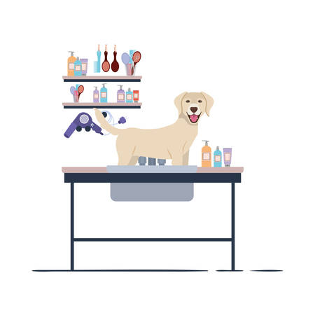 dog on hairdressing table with white background vector illustration designのイラスト素材