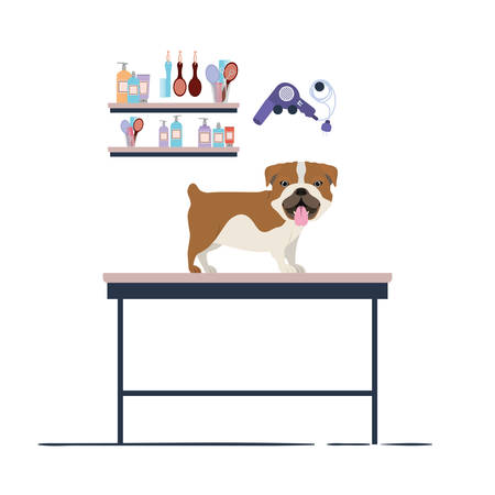 dog on hairdressing table with white background vector illustration designのイラスト素材
