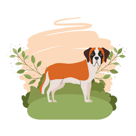 cute san bernardo dog with background landscape vector illustration designのイラスト素材