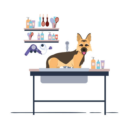 dog on hairdressing table with white background vector illustration designのイラスト素材