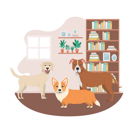 cute and adorable dogs in living room vector illustration designのイラスト素材