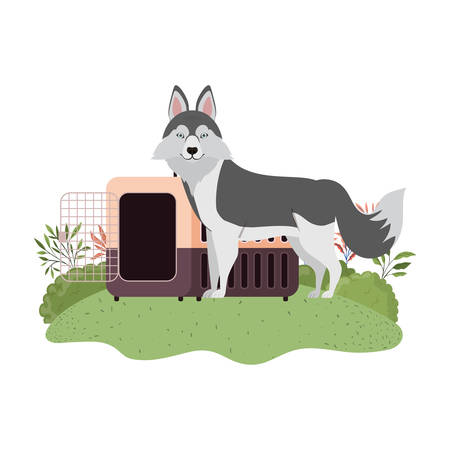 dog and pet transport box with background landscape vector illustration designのイラスト素材