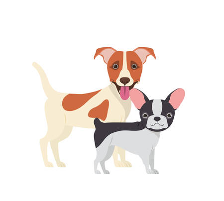 cute and adorable dogs on white background vector illustration designのイラスト素材