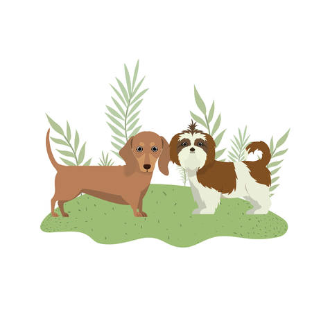 cute and adorable dogs on white background vector illustration designのイラスト素材
