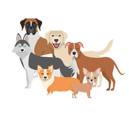 set of adorable dogs on white background vector illustration designのイラスト素材