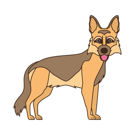 cute pastor aleman dog on white background vector illustration designのイラスト素材