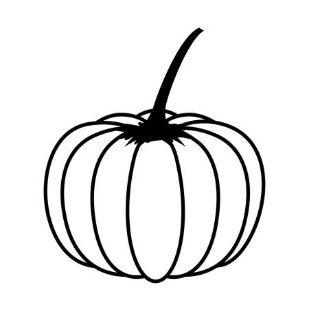 pumpkin vegetable season isolated icon vector illustration designのイラスト素材