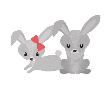 cute couple of rabbits on white background vector illustration designのイラスト素材