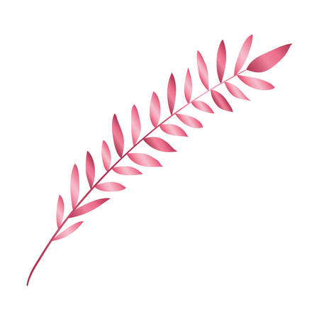 branch with leafs pink decorative icon vector illustration designのイラスト素材