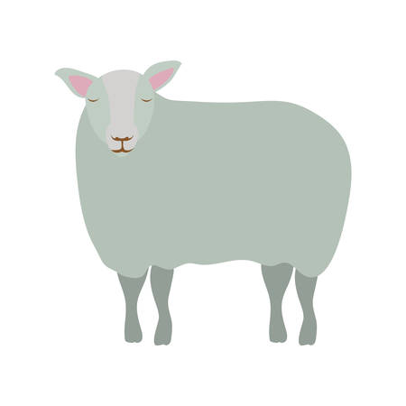 cute sheep manger animal character vector illustration designのイラスト素材
