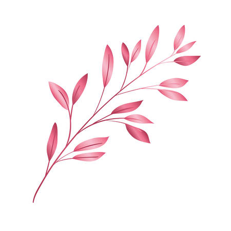 branch with leafs pink decorative icon vector illustration designのイラスト素材