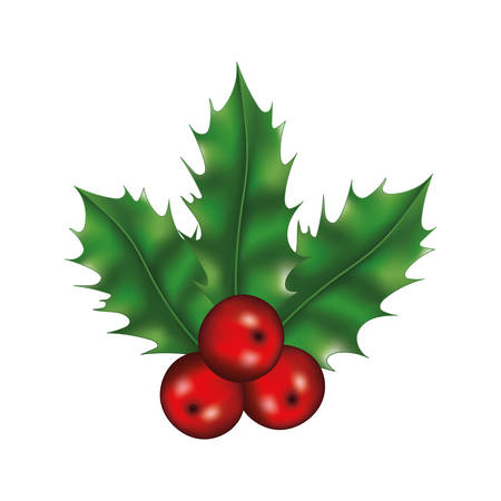 happy merry christmas leafs with berries decoration vector illustration designのイラスト素材
