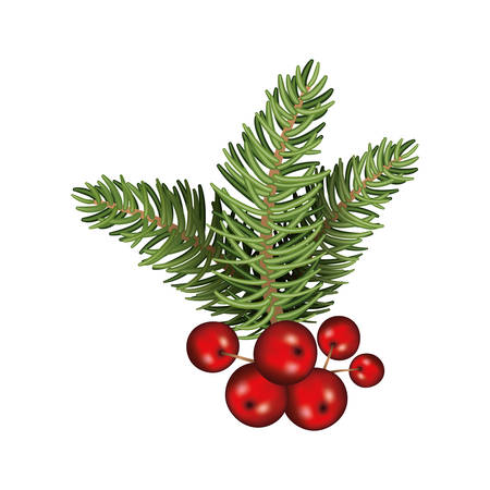 happy merry christmas tree branch and berries illustration designのイラスト素材